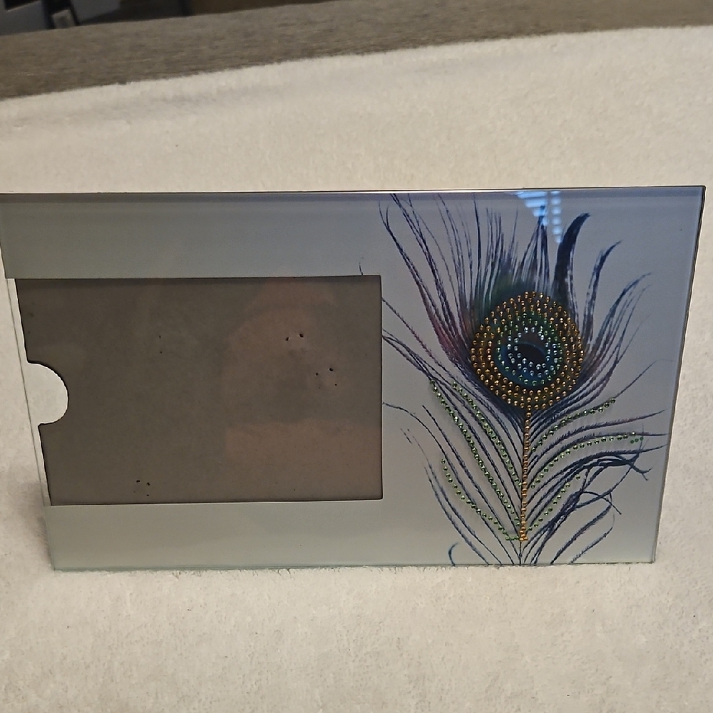 Source Unknown Blue and Green Feather Accent Frame